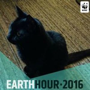 teri_orr_enright avatar