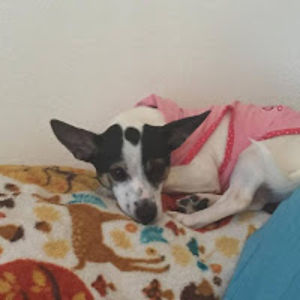 jennifertaylor avatar