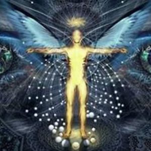 pjrcguy avatar
