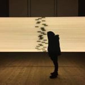 a_k_a_tadikas_22 avatar