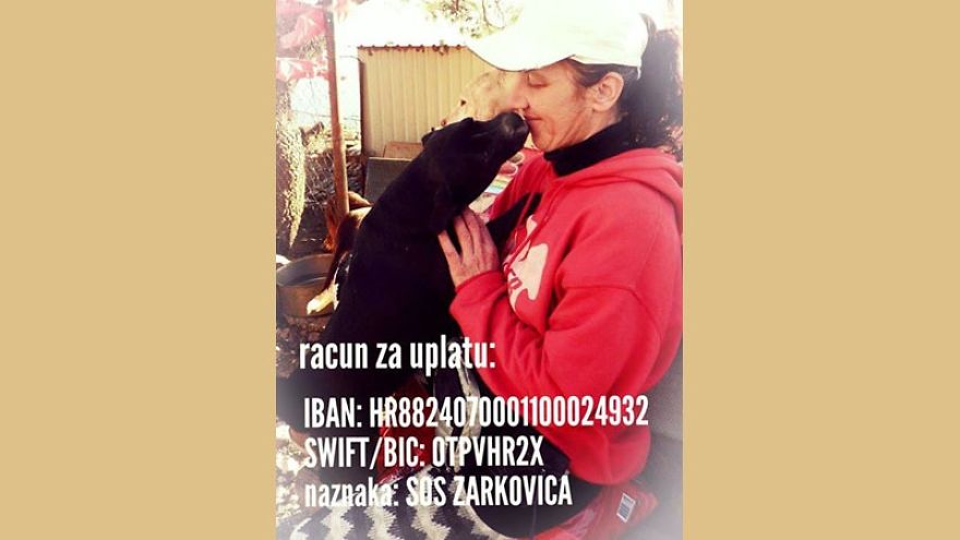 Years Spent Living With Over 300 Dogs On A Hill Above Dubrovnik, Sos Žarkovica