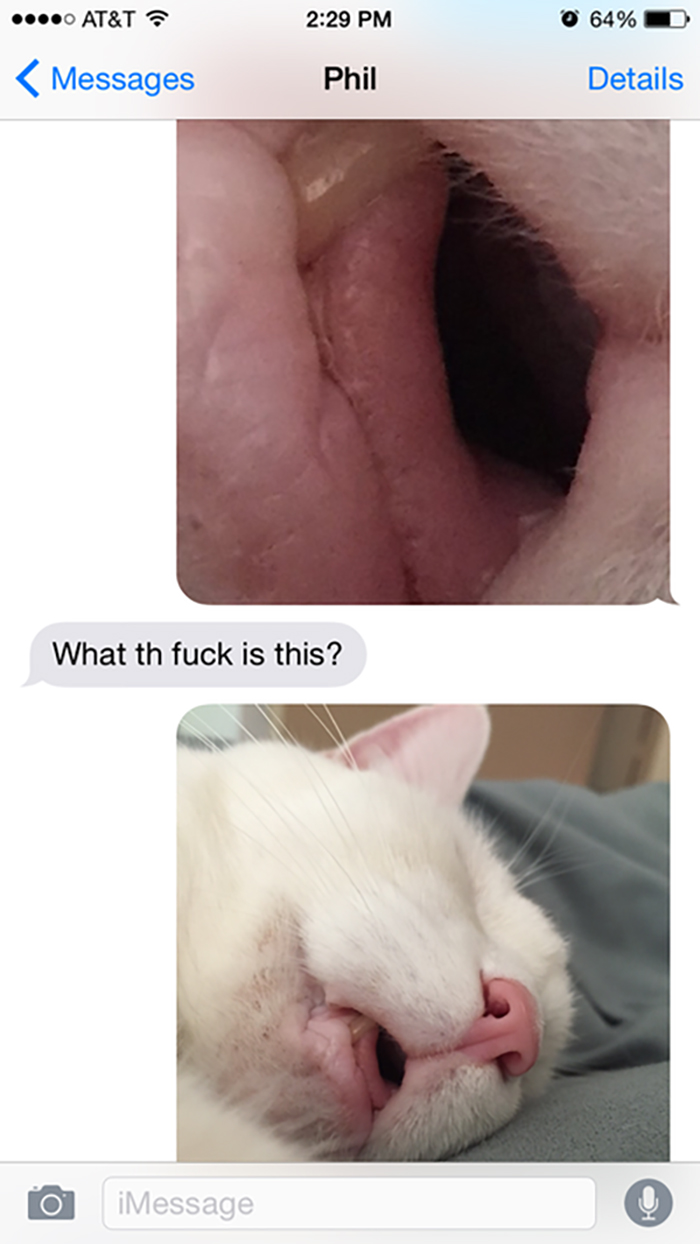 Sending Weirdly Cropped Photos To My Brother