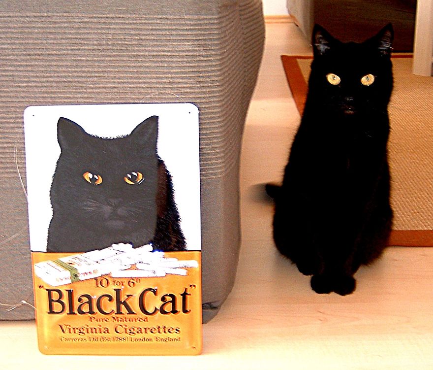 At Halloween I Commemorate My Black Cat, Rebeka