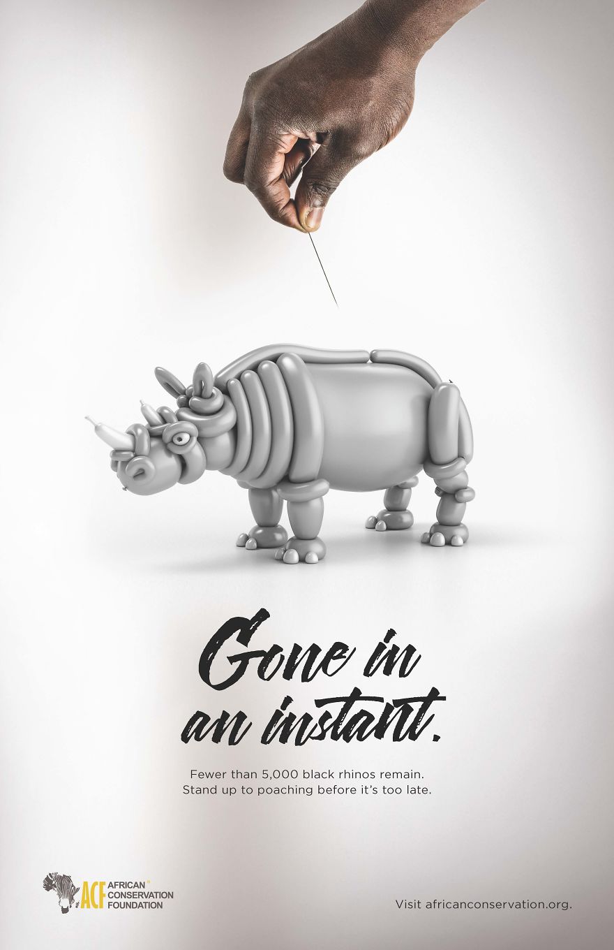 Fighting Poaching With Balloon Animals