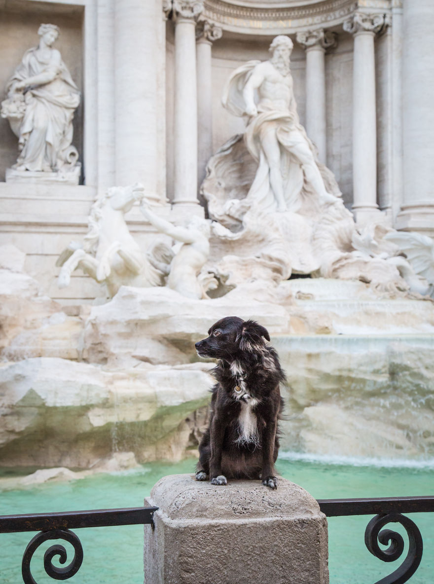 Conquer Rome With Your Dog