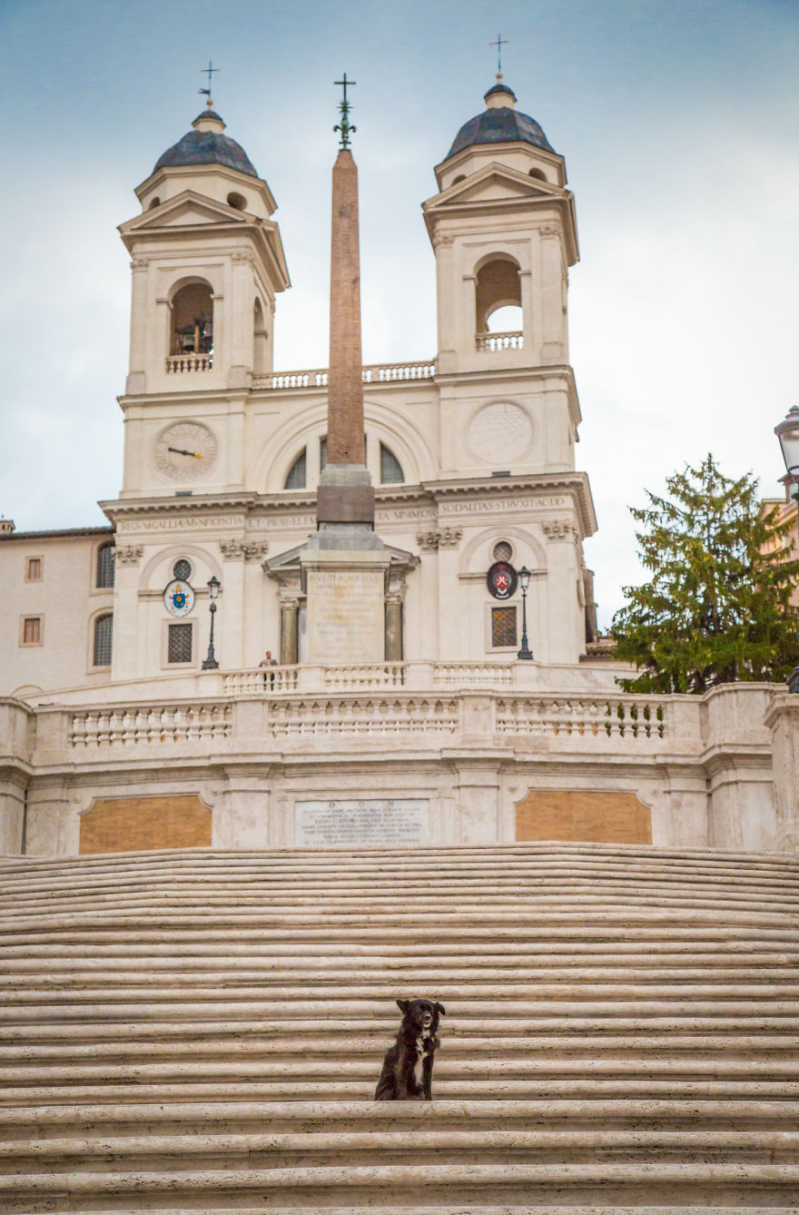 Conquer Rome With Your Dog