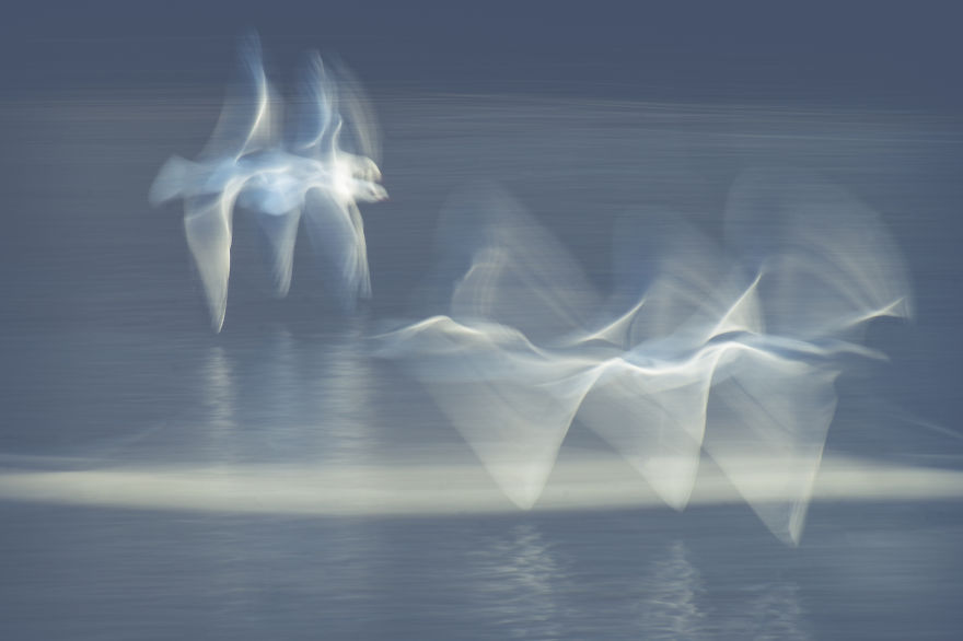 Flights Of The Imagination.