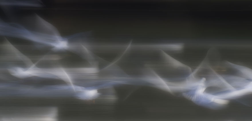 Flights Of The Imagination.