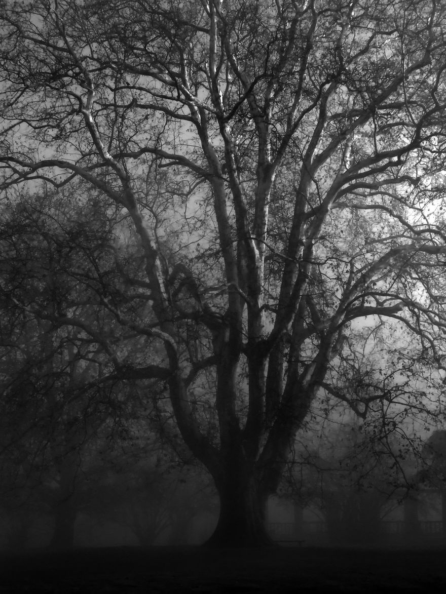 A Walk In The Park A Walk In The Park