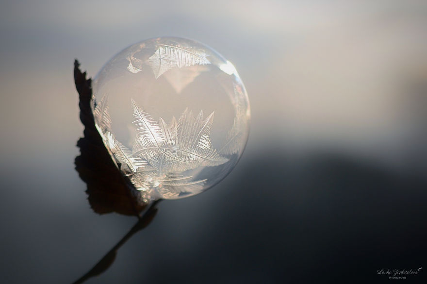This Is What Happens To A Soap Bubble When Released In Minus Degree Air