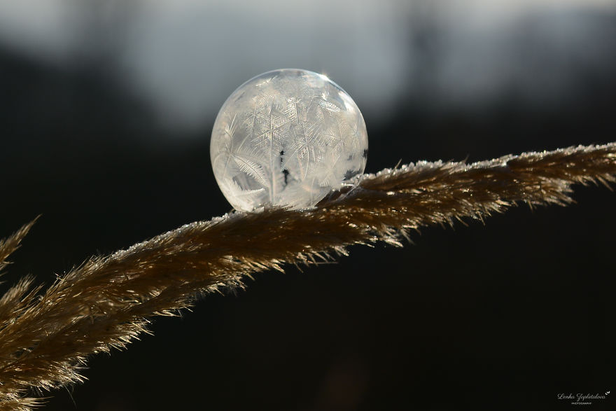 This Is What Happens To A Soap Bubble When Released In Minus Degree Air