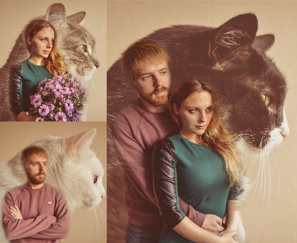Our Tradition - Weird Photos With Cats