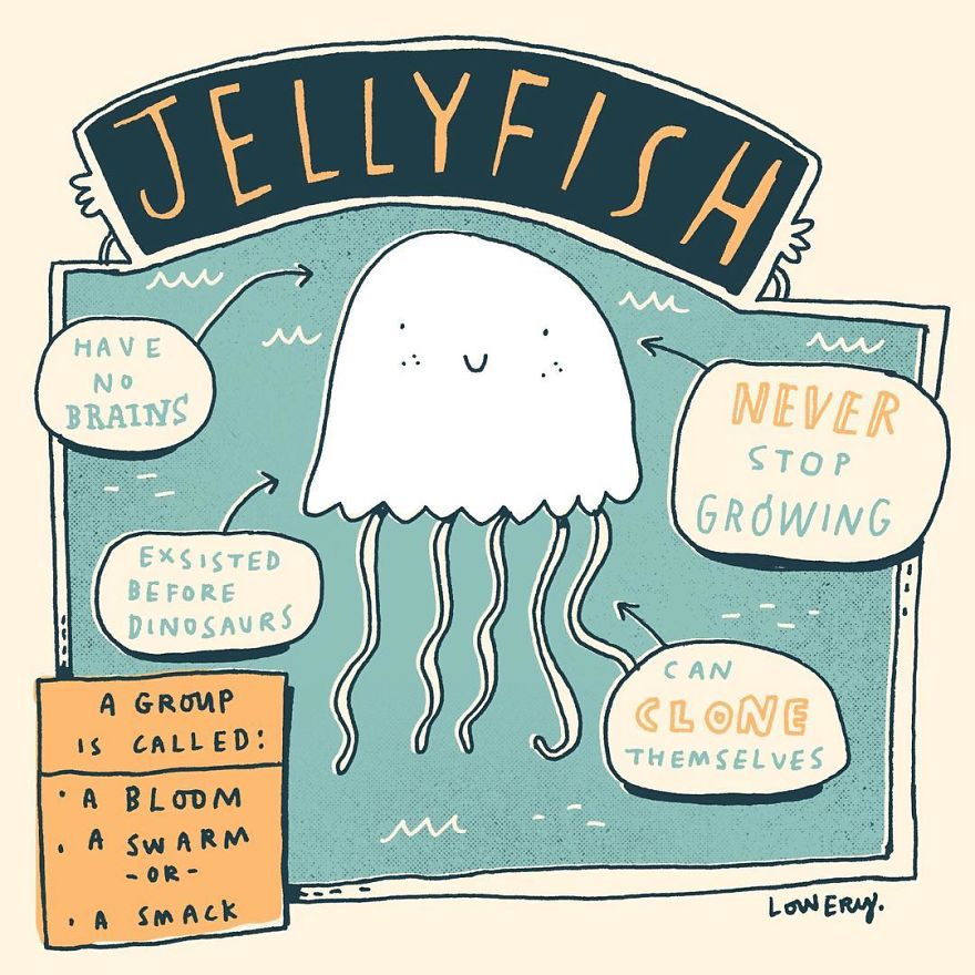 Daily Illustrated Random Facts