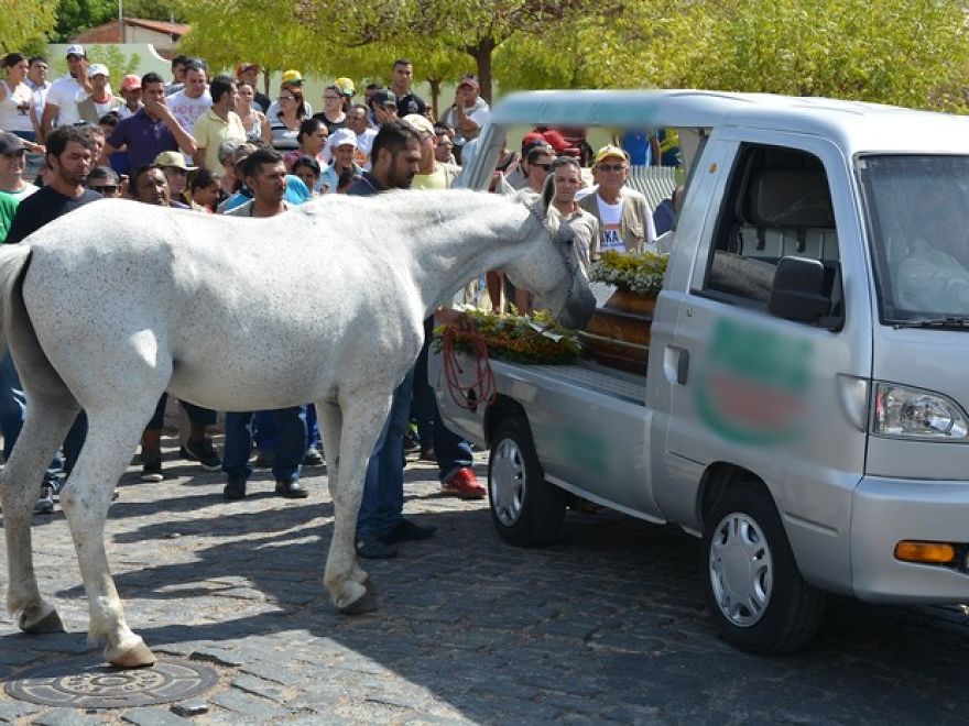 Horse Touches Cowboy Family Killed After 'bidding Farewell' To Owner In Paraiba-Brazil