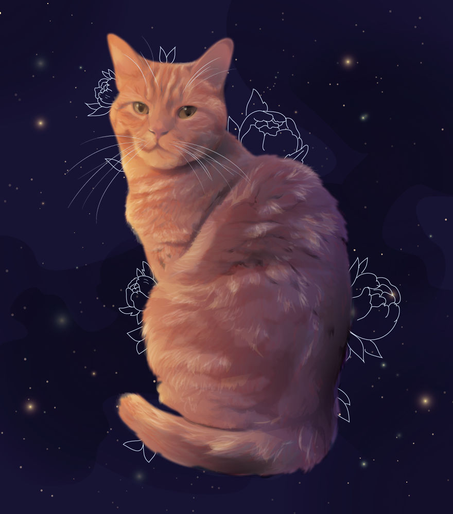 I Draw Digital Pet Portraits That Are Out Of This World