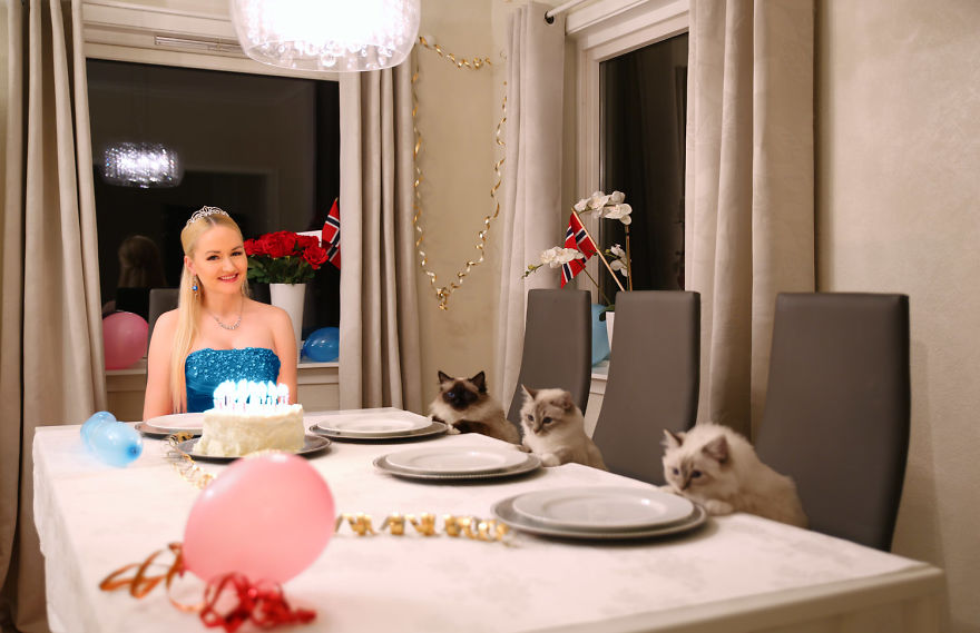 Norwegian Woman Rejects Human Birthday Party And Celebrates With Her Cats Instead