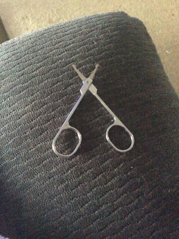 I Think There's Something Wrong With My Scissors..