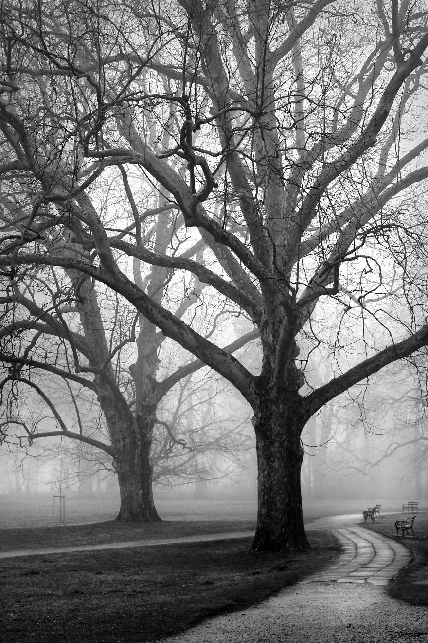 A Walk In The Park A Walk In The Park