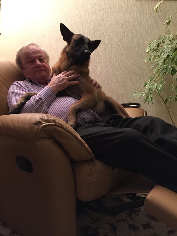 My Dad Definitely Didn't Want Another Dog. Definitely..... But She Loves Her Grandad Most Of All!