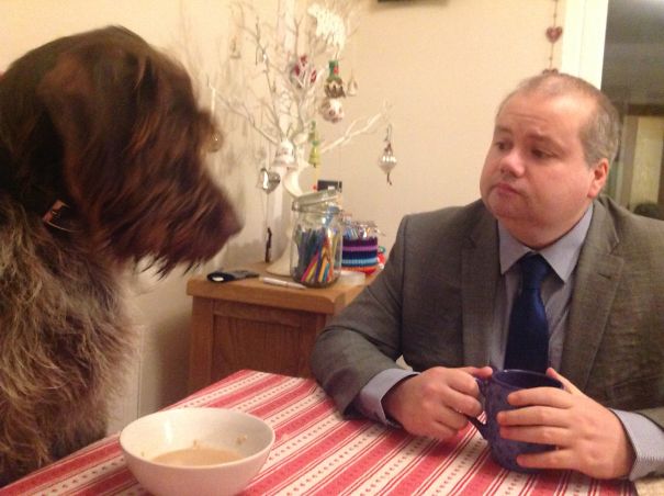 He Didn't Want A Dog. Now They Share A Cup Of Tea At Breakfast...and The Dog Sits At The Table.