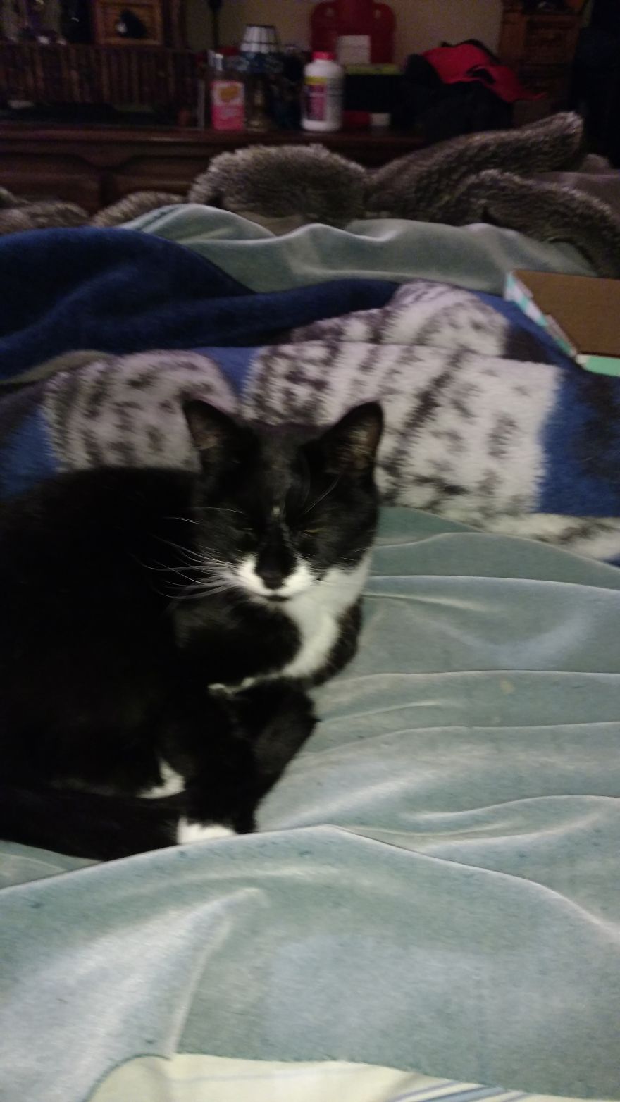 My Maximus