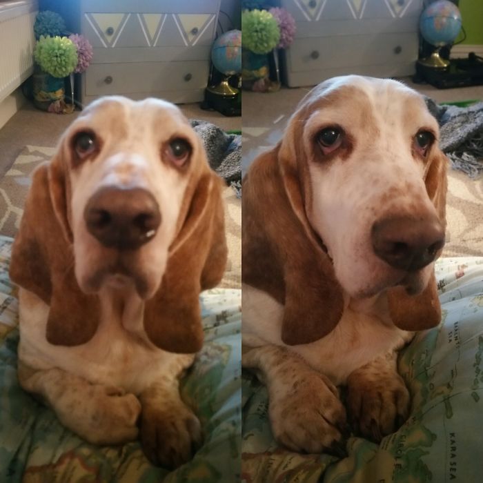 Before And After I Said Good Boy