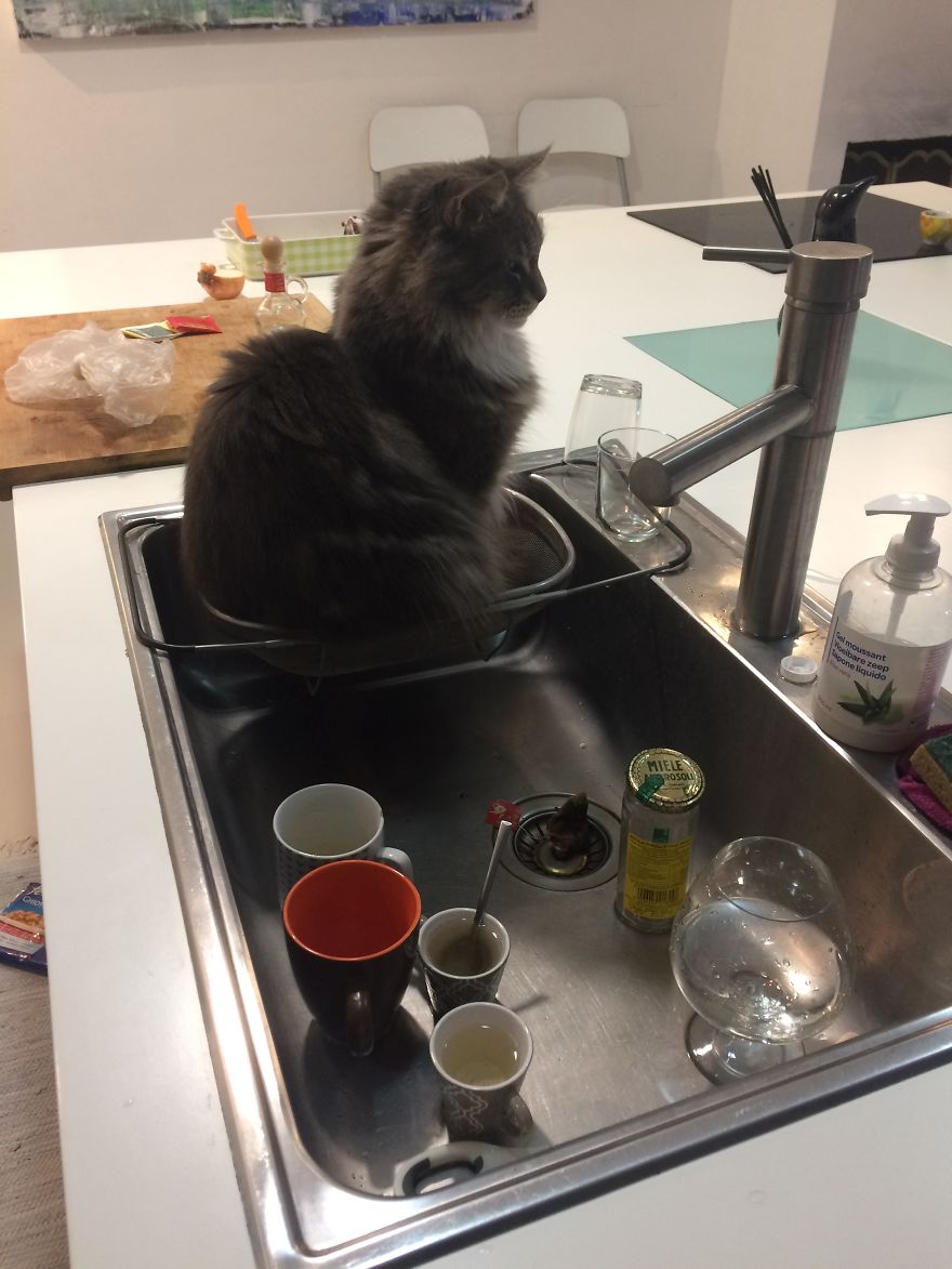 When You Decide To Clean Dishes :)