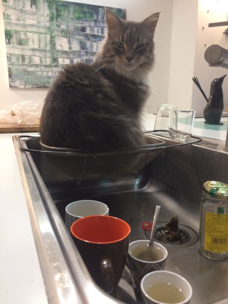 When You Decide To Clean Dishes :)
