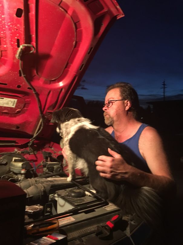 He May Not Have Wanted Her, But She's The Best Mechanic In The House