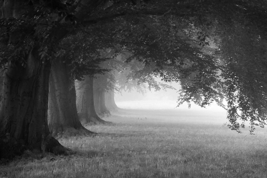 A Walk In The Park A Walk In The Park