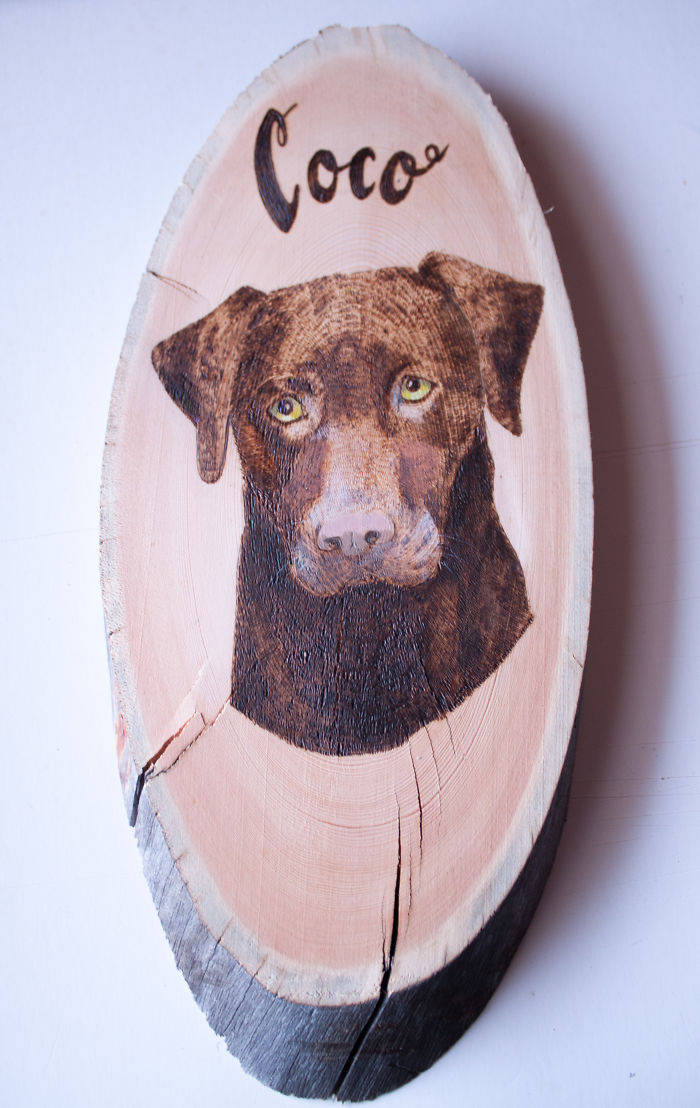 I Mix Wood-Burning Technique With Acrylic Painting To Make Pet Portraits