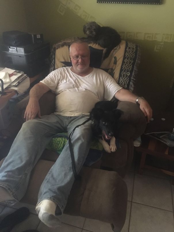 My Dad With Toto (top Of Chair) And Stella (border Collie) Who "didn't Want Any More Damn Dogs".