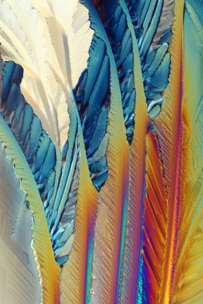 These Colorful Artworks Are Actually Photos Of Microscopic Crystals
