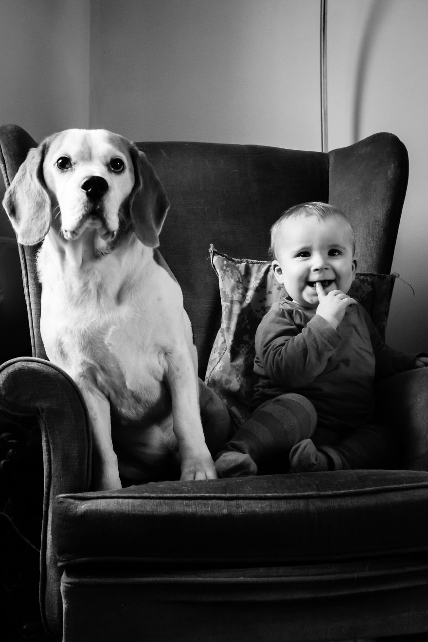 I've Taken A Picture Of My Son And Beagle Every Month For The Last Two Years In The Same Chair