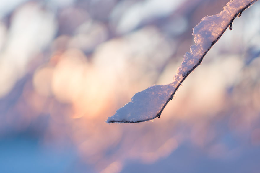 Japanese Photographer Captured Beautiful Winter Lights Of Finland