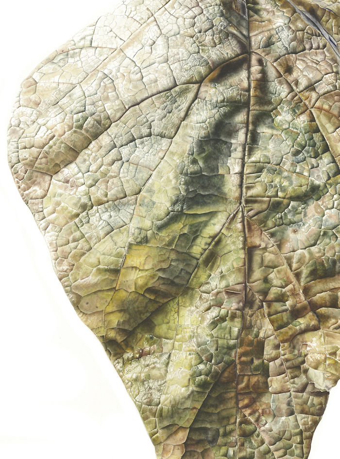 For The Last Two Years, I Have Been Painting Leaves That Tell A Story