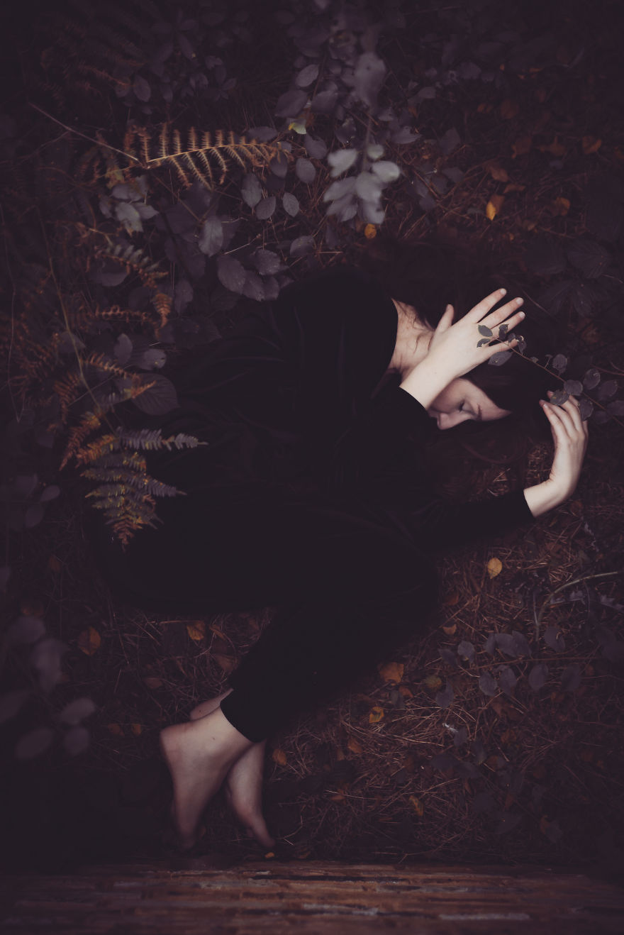 Photographic Story ~rebirth~