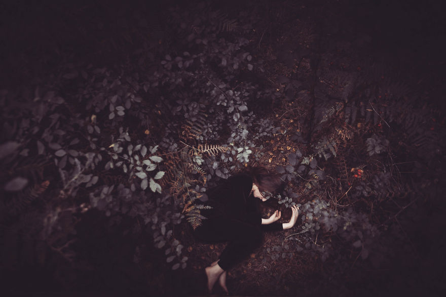 Photographic Story ~rebirth~