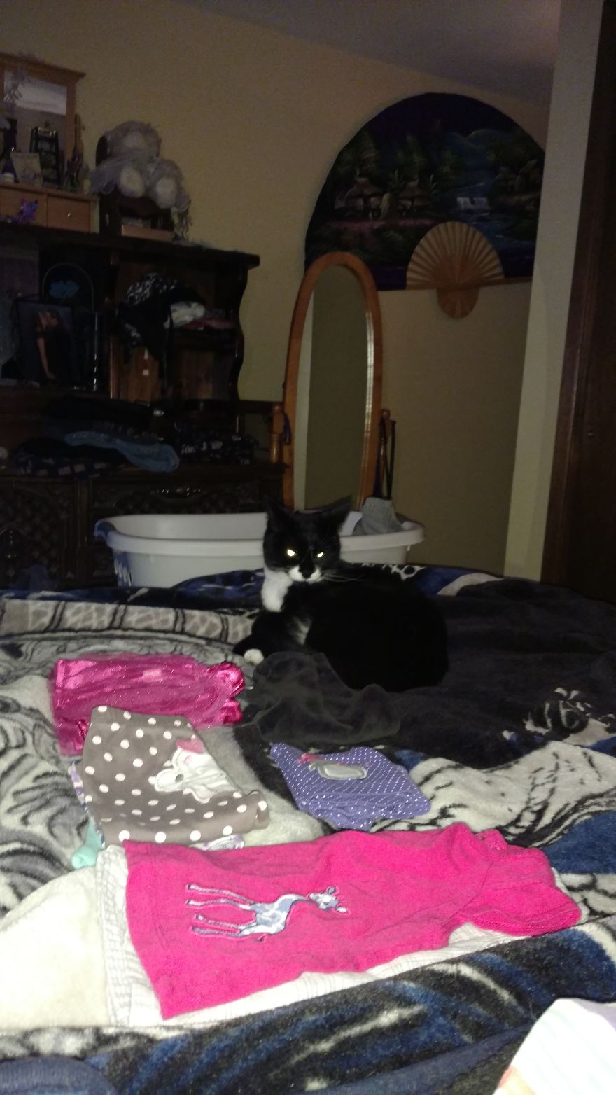 My Maximus