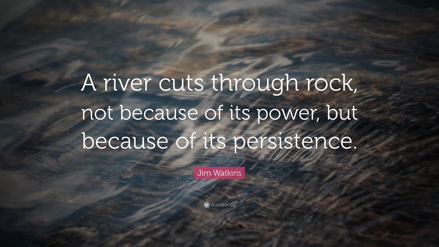 Definition Of Persistence.