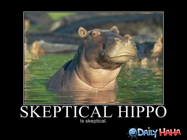 Skeptical-Hippo-is-Skeptical-586d7c13b96b3.jpg