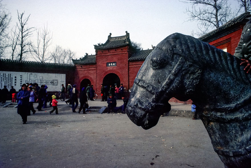 While Horse Temple, Luoyang, 1984