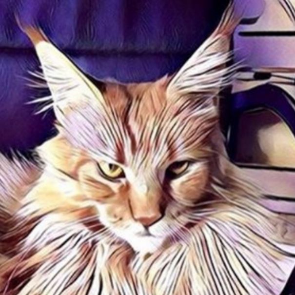 These Fantastic Cat Portraits Are Masterpieces Of Digital Art