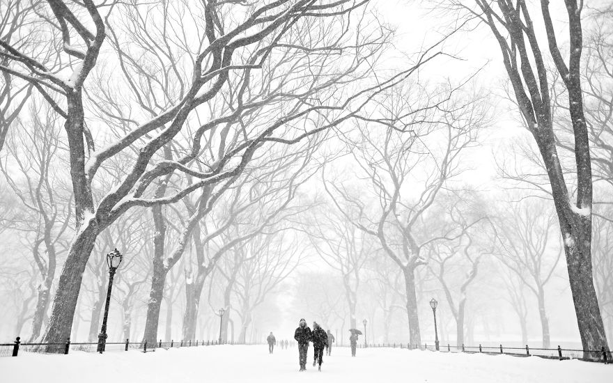 This Is How I See New York In The Winter