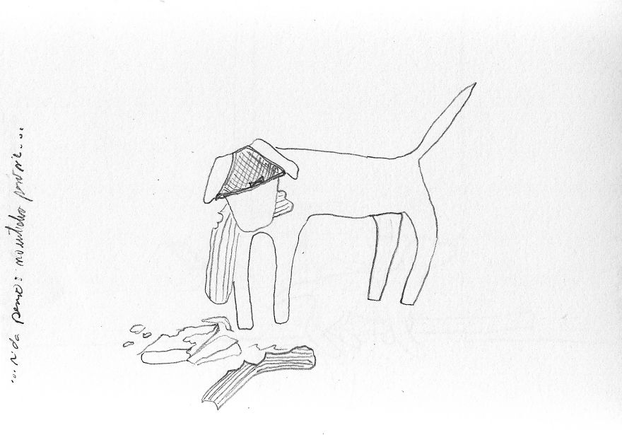 ...dog Life...