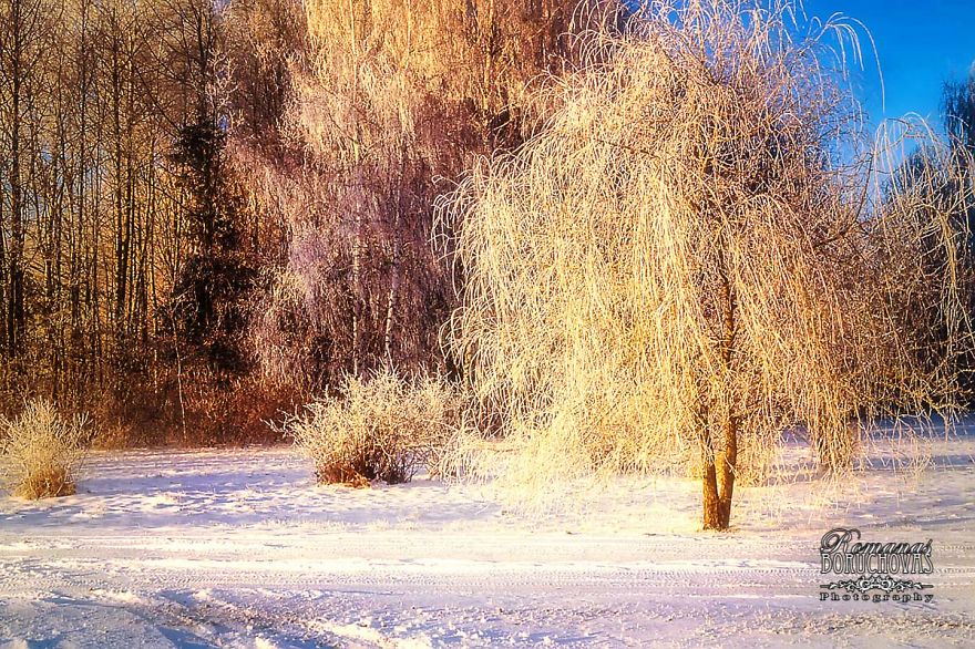 Winter Finally Came To Lithuania