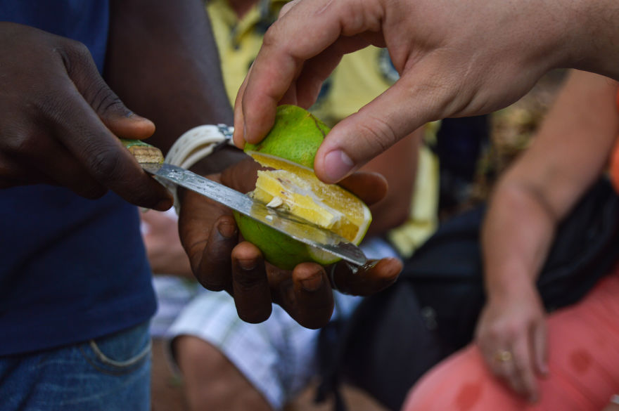 How Does Our Everyday Spices And Fruits Grow - Pictures From Zanzibar How Does Our Everyday Spices And Fruits Grow - Pictures From Zanzibar