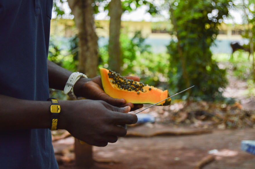How Does Our Everyday Spices And Fruits Grow - Pictures From Zanzibar How Does Our Everyday Spices And Fruits Grow - Pictures From Zanzibar