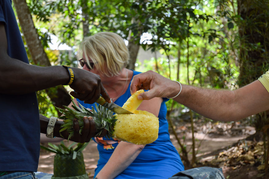 How Does Our Everyday Spices And Fruits Grow - Pictures From Zanzibar How Does Our Everyday Spices And Fruits Grow - Pictures From Zanzibar
