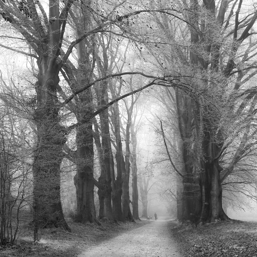 A Walk In The Park A Walk In The Park